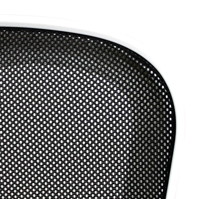 Silla Secretarial Best