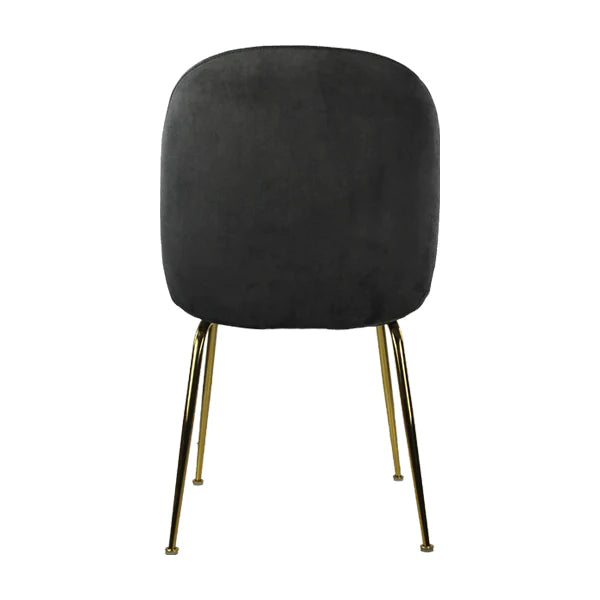 Silla Treviso