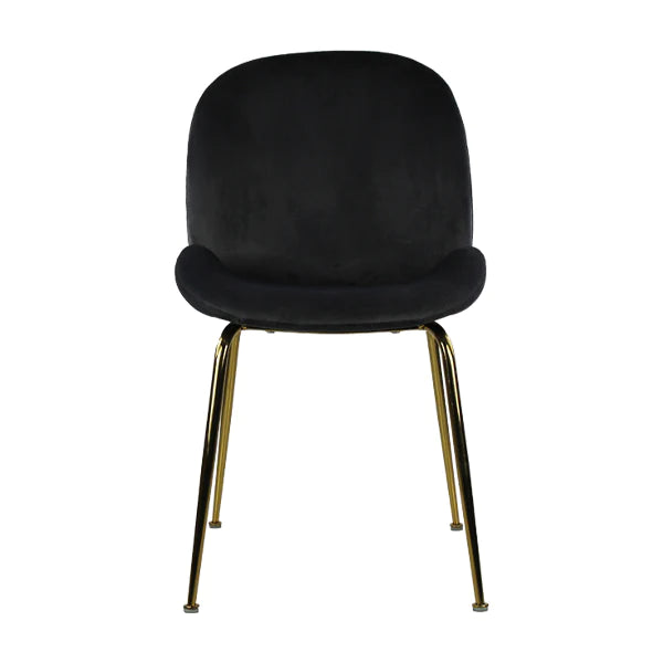 Silla Treviso
