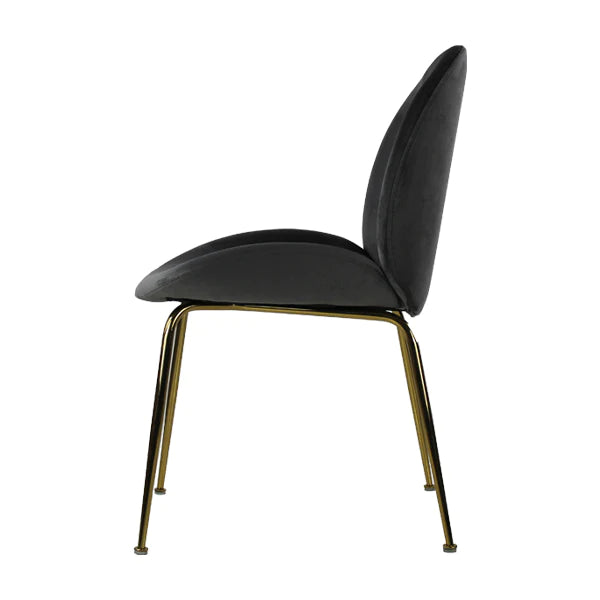Silla Treviso