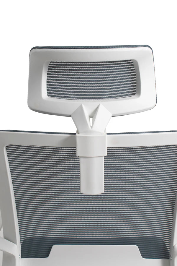 Silla Moldavia
