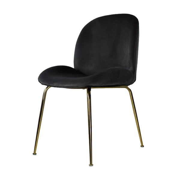 Silla Treviso